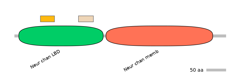 DmeEX0008777-EXC