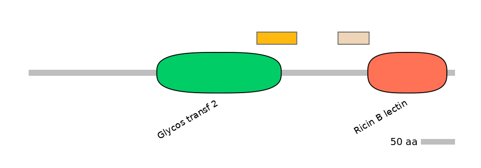 DmeEX0009046-EXC
