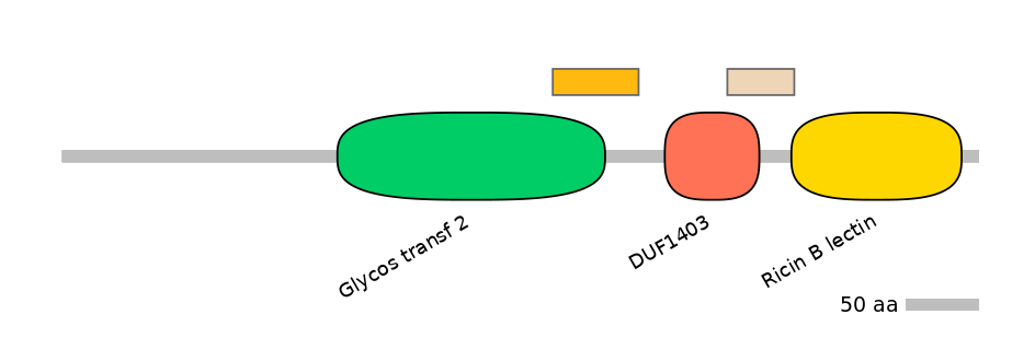 DmeEX0009047-EXC