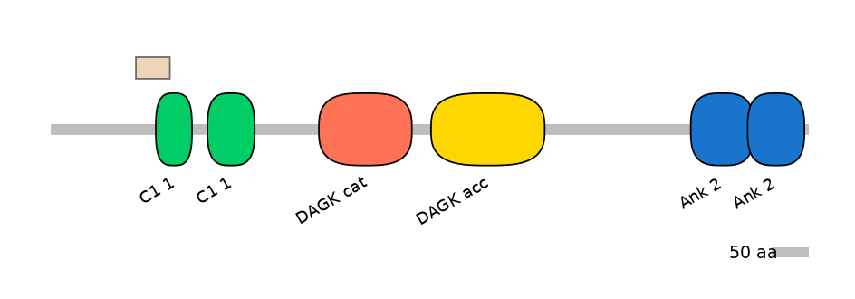 DmeEX0009221-EXC