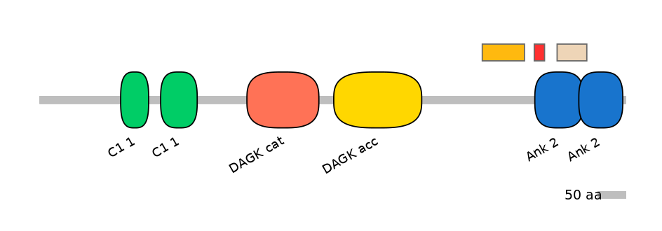 DmeEX0009224-INC