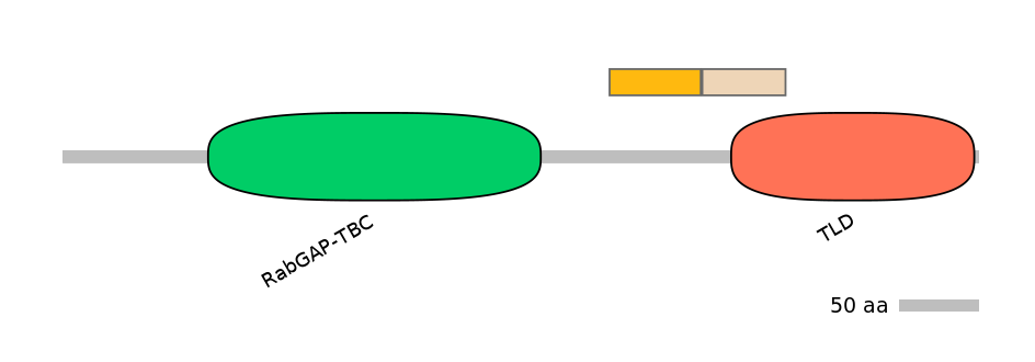 DmeEX0009544-EXC