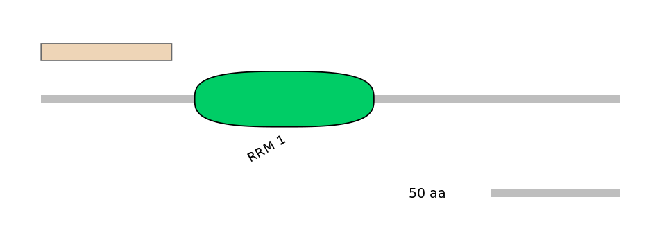 DmeEX0009895-EXC