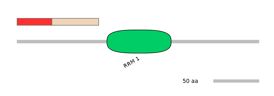 DmeEX0009895-INC