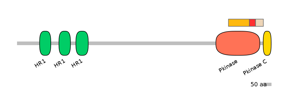 DmeEX6009432-INC