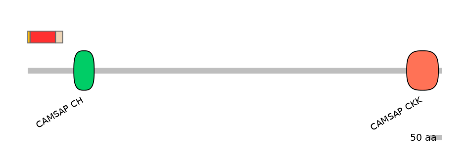 DmeEX6011625-INC