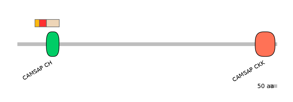 DmeEX6011627-INC