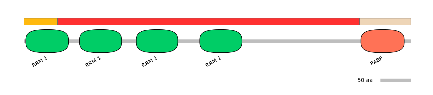 DmeEX6011794-INC