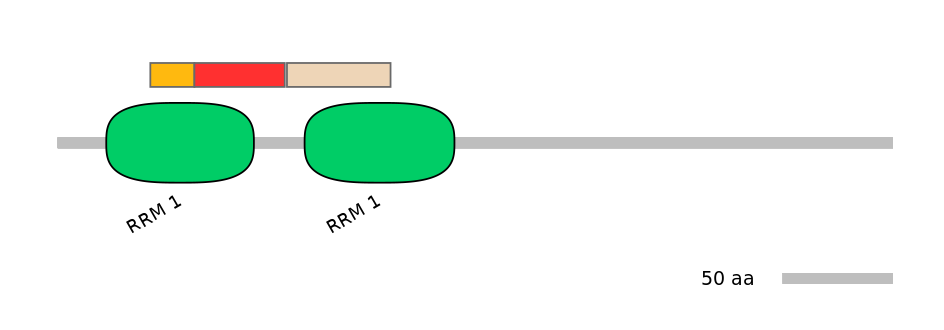 DmeEX6014848-INC