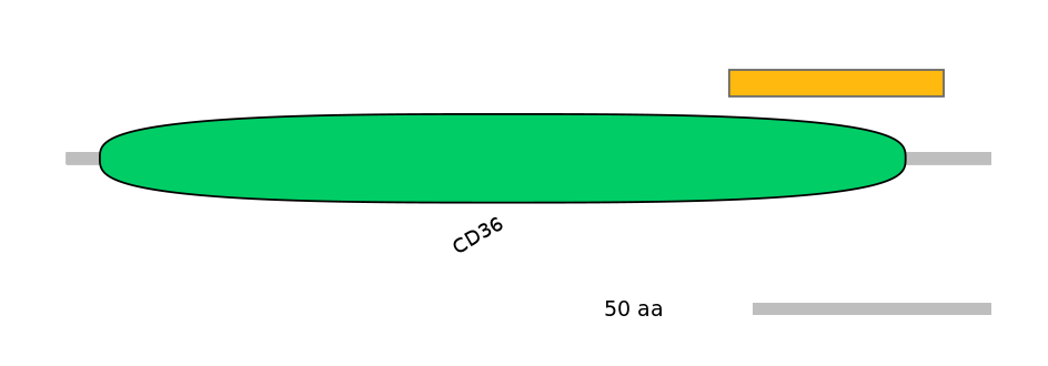 DmeEX6015372-EXC