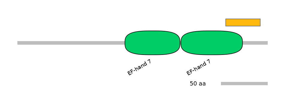 DmeEX6016369-EXC