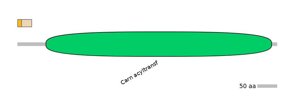 DmeINT0001840-EXC