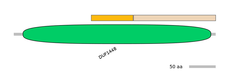 DmeINT0002372-EXC
