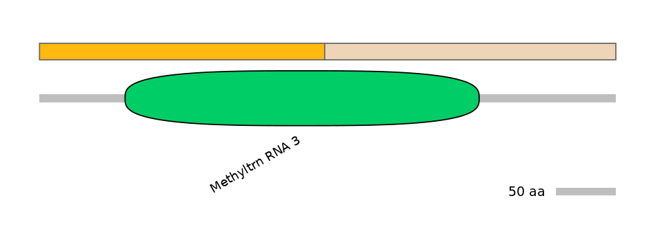 DmeINT0002930-EXC