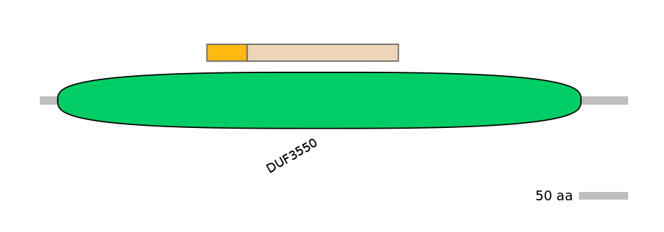 DmeINT0003648-EXC