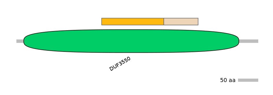 DmeINT0003649-EXC