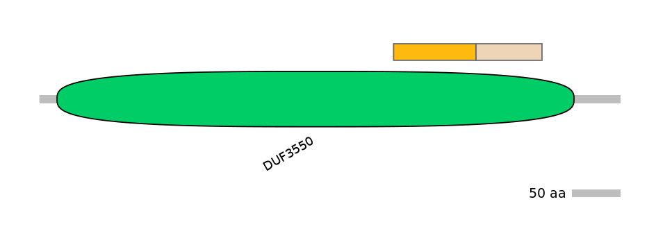 DmeINT0003650-EXC