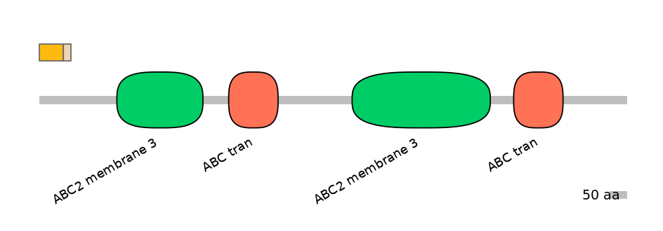 DmeINT0006108-EXC
