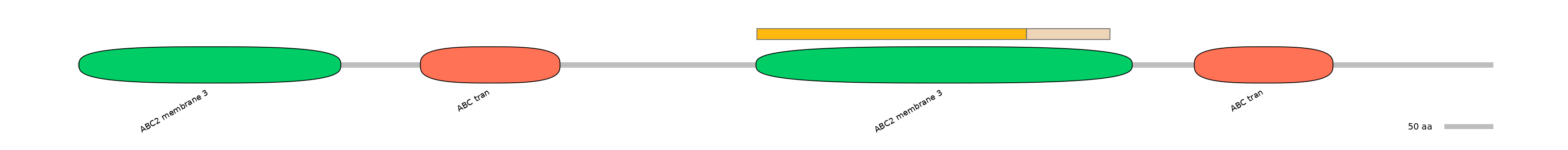 DmeINT0011604-EXC