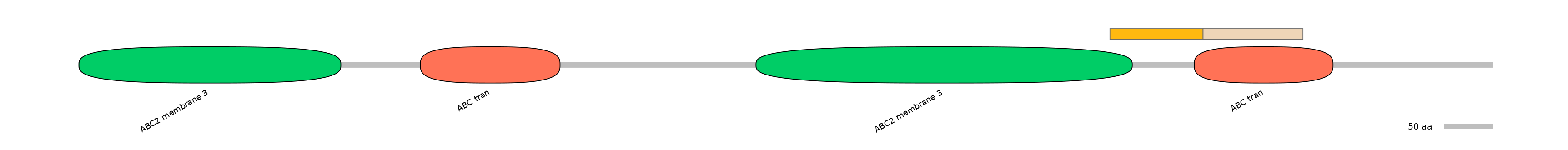DmeINT0011606-EXC