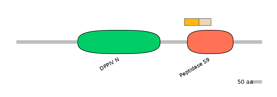 DmeINT0012376-EXC