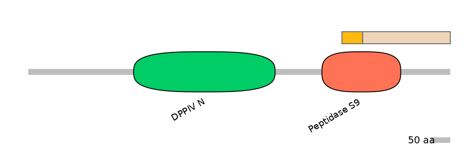DmeINT0012377-EXC