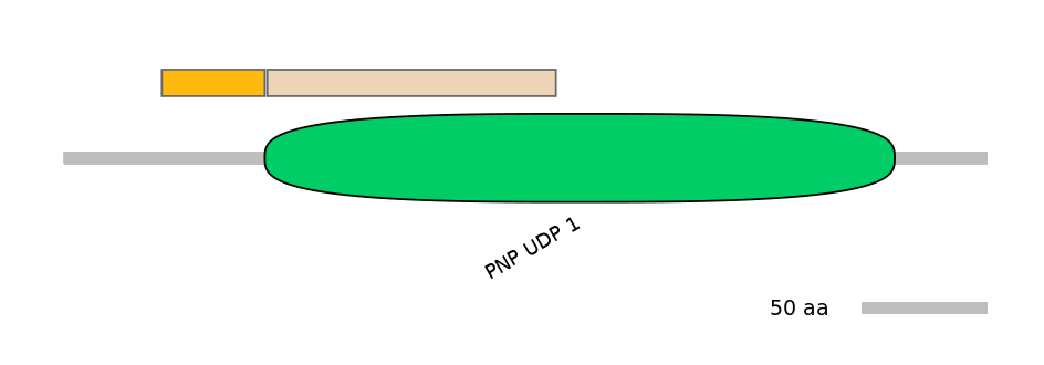 DmeINT0013879-EXC