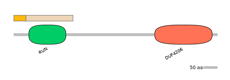 DmeINT0014069-EXC