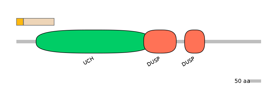 DmeINT0015647-EXC