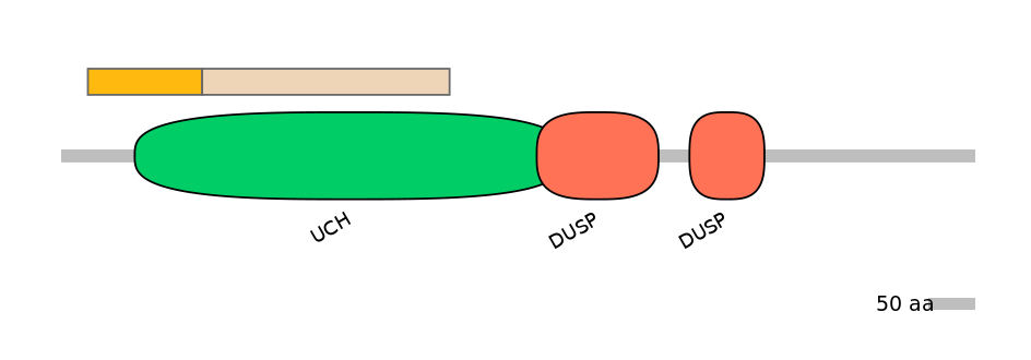 DmeINT0015648-EXC