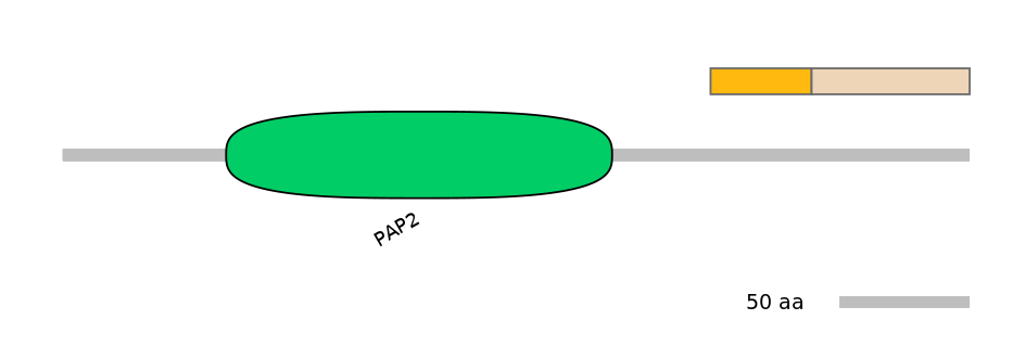 DmeINT0020412-EXC