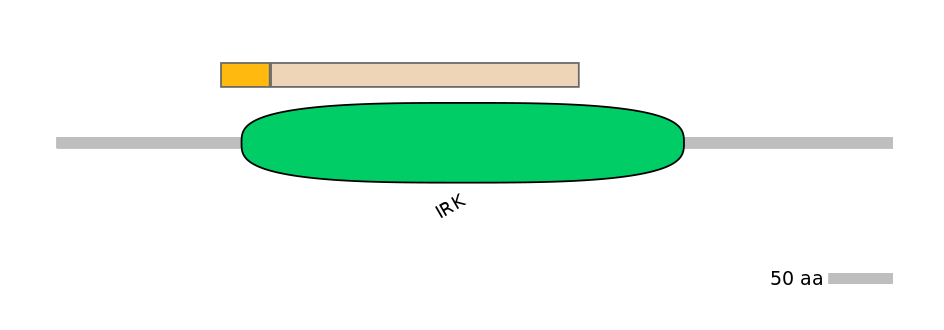 DmeINT0021899-EXC