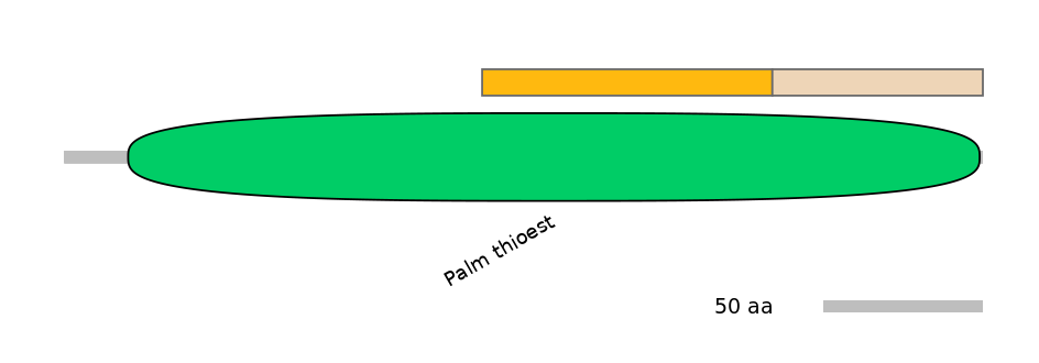 DmeINT0025372-EXC