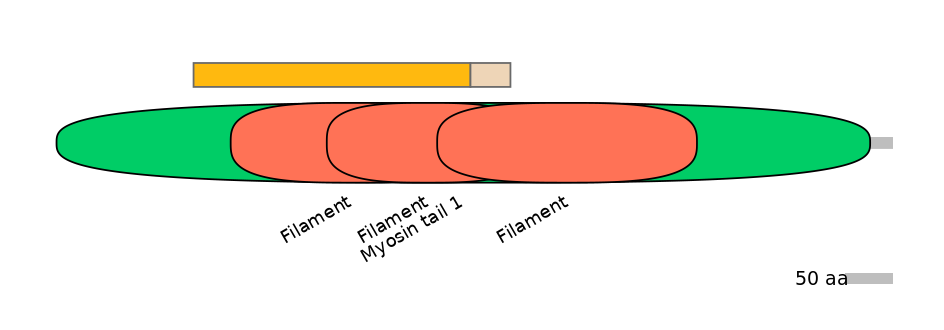 DmeINT0025384-EXC