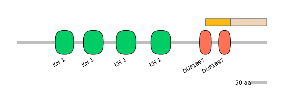 DmeINT0025484-EXC