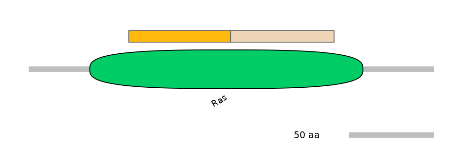 DmeINT0025729-EXC