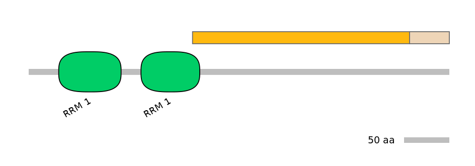DmeINT0025901-EXC
