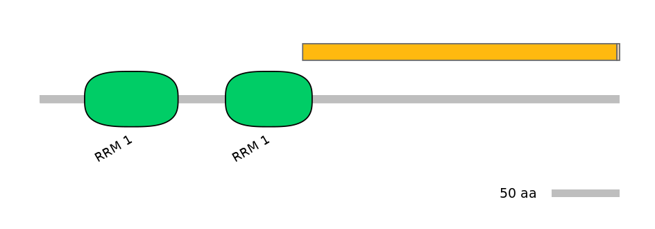 DmeINT0025953-EXC