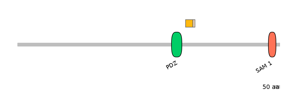 DmeINT0027601-EXC