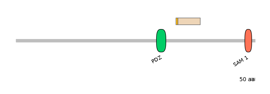 DmeINT0027602-EXC