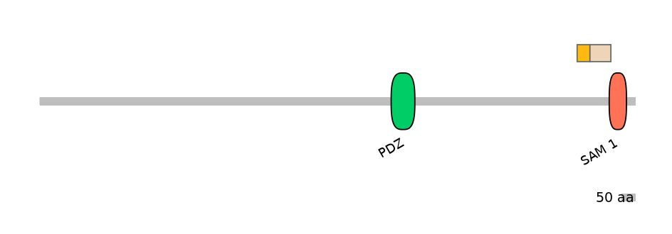 DmeINT0027605-EXC