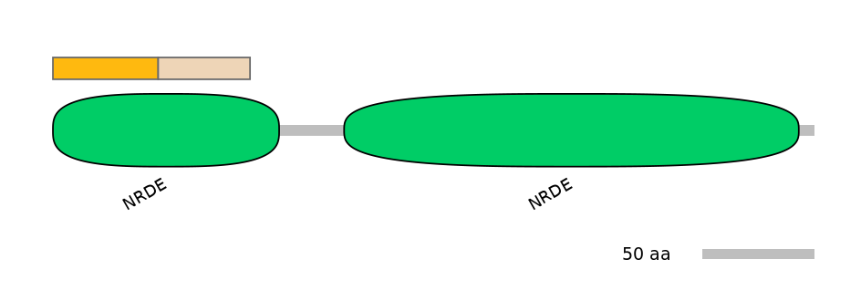 DmeINT0028168-EXC