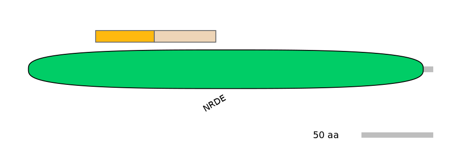DmeINT0028169-EXC