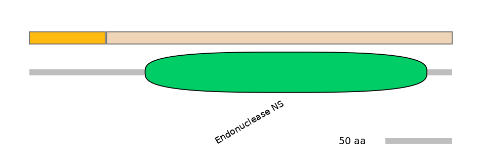 DmeINT0028261-EXC