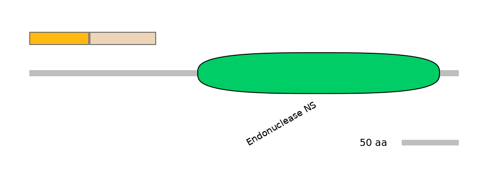 DmeINT0028263-EXC
