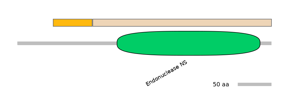 DmeINT0028264-EXC
