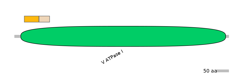 DmeINT0029121-EXC