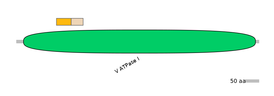 DmeINT0029123-EXC