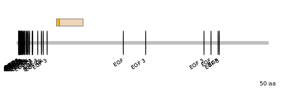 DmeINT0031182-EXC