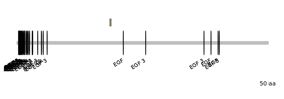 DmeINT0031191-EXC